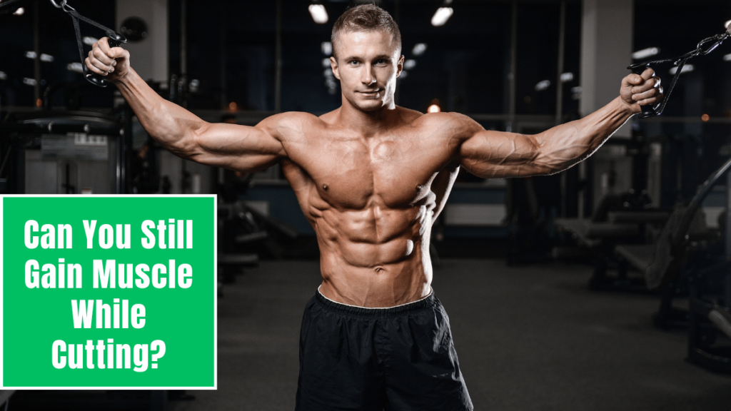 Can You Still Gain Muscle While Cutting?