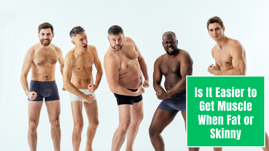 Is It Easier to Get Muscle When Fat or Skinny